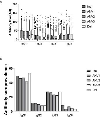 Plasmodium falciparum VAR2CSA-Specific IgG Subclass Responses Reflect Protection Against Low Birth Weight and Pregnancy-Associated Malaria